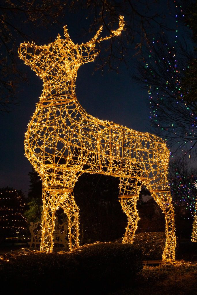 A large standing stag, made of warm white lights.