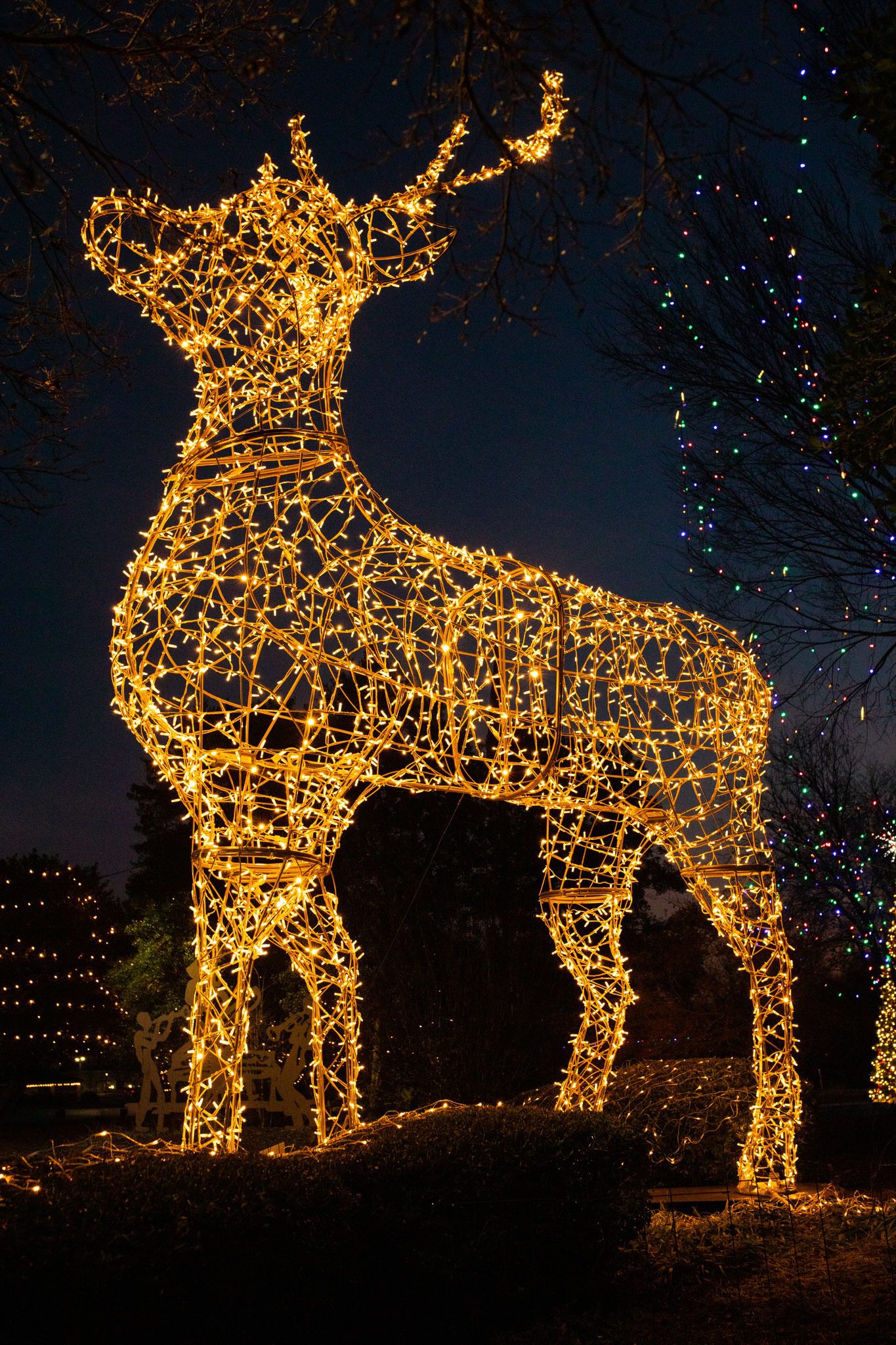 A large standing stag, made of warm white lights.