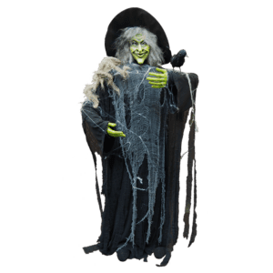 A tall green witch with black clothing and a black crow.
