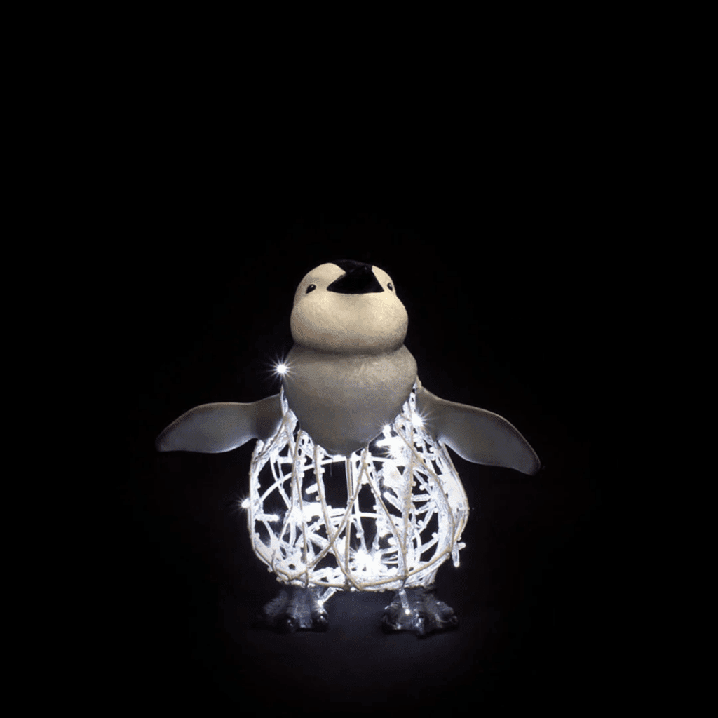 A baby penguin.