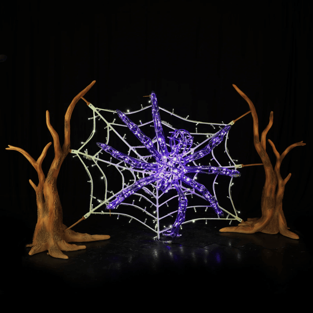 Spider Web and Spider