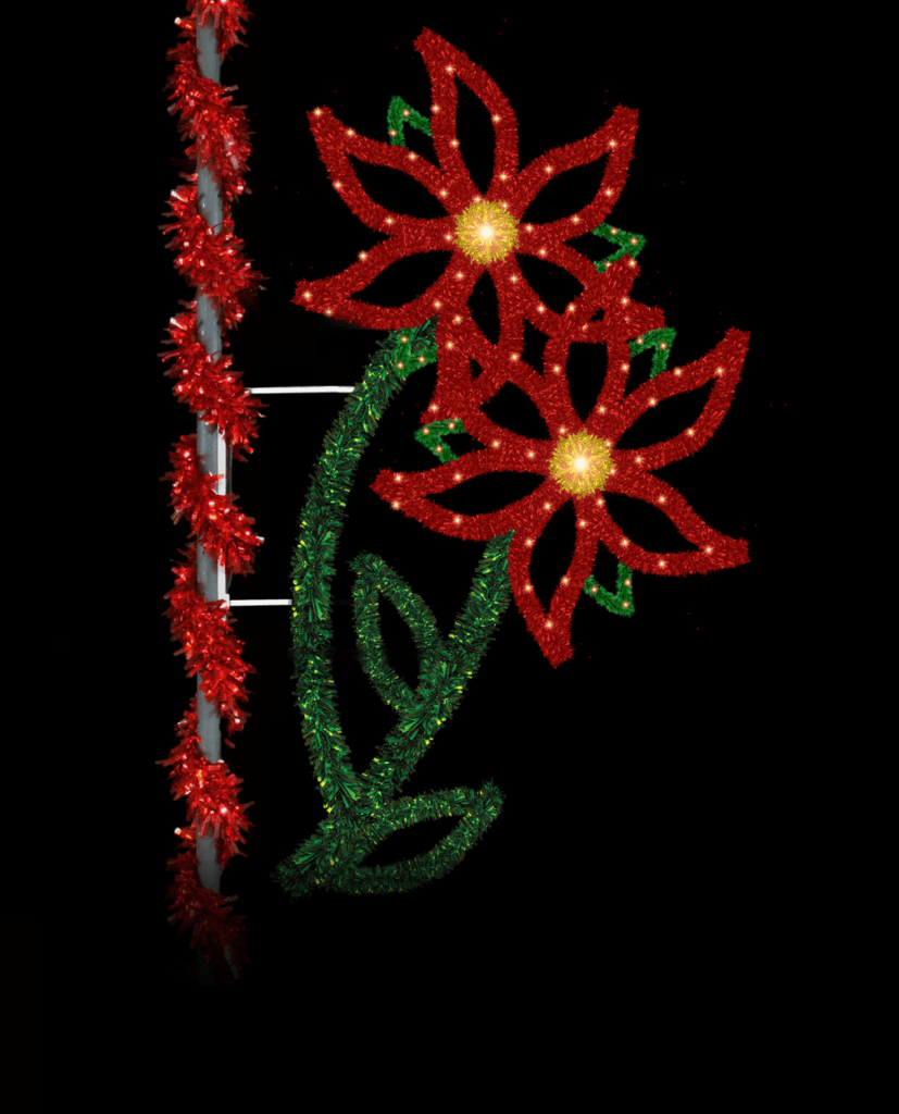 Double Poinsettia