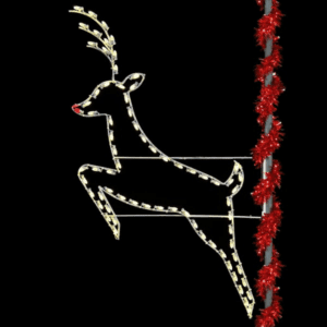 Leaping Buck