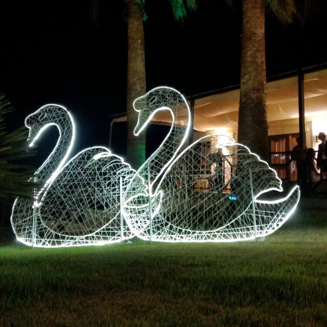 An image of two, two dimensional swans made from strings of white fiberglass, and outlined with cool white LED rope light.