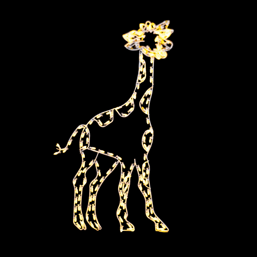 An illuminated Christmas light silhouette of a standing giraffe.