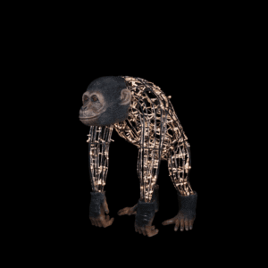 An image of a large 3d illuminated monkey, made of a wire frame, warm white mini LED Christmas lights, and fiberglass accents.