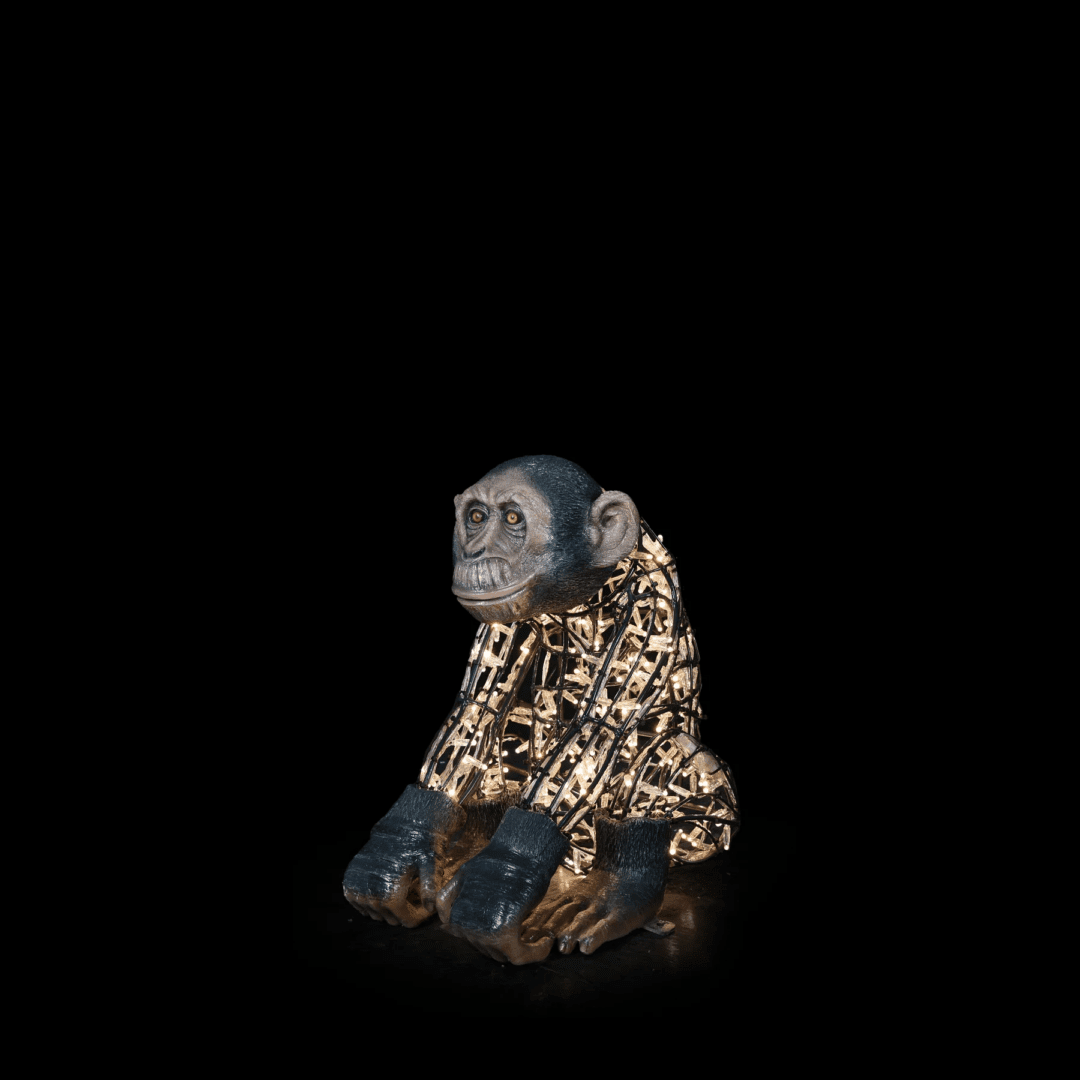 An image of a small 3d illuminated monkey, made of a wire frame, warm white mini LED Christmas lights, and fiberglass accents.