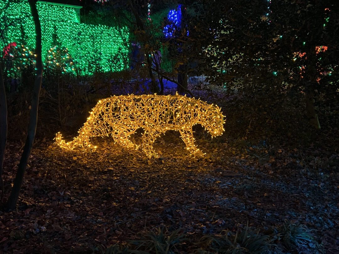 An image of a jaguar made of a gold metal frame, and warm white mini LED Christmas lights.