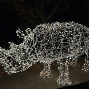 An image of a large 3D illuminated rhino, made from a silver metal frame, and cool white mini LED Christmas lights.