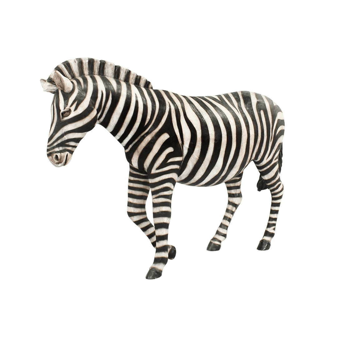 An image of a fiberglass zebra, with one front leg up.
