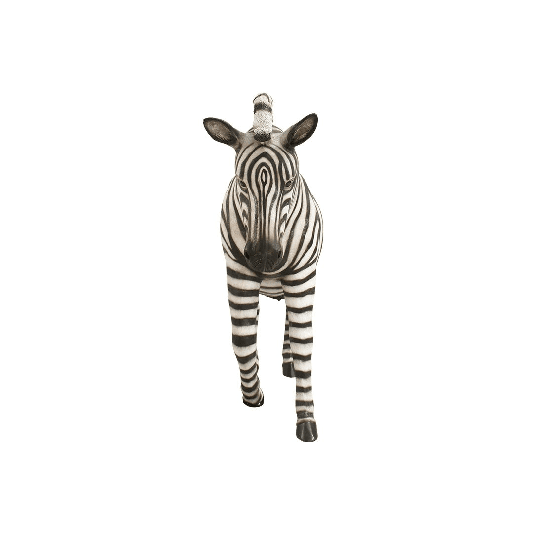An image of a fiberglass zebra, with one front leg up.