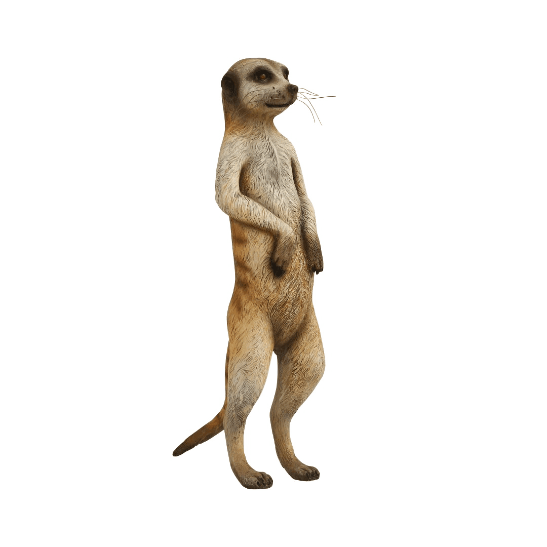 A life-sized fiberglass figure of a meerkat standing on it's back two legs, looking forward.