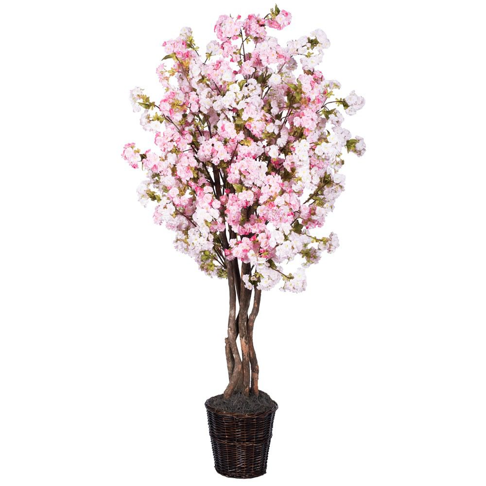 An image of a beautiful pink cherry blossom tree blooming in a dark brown wicker basket.