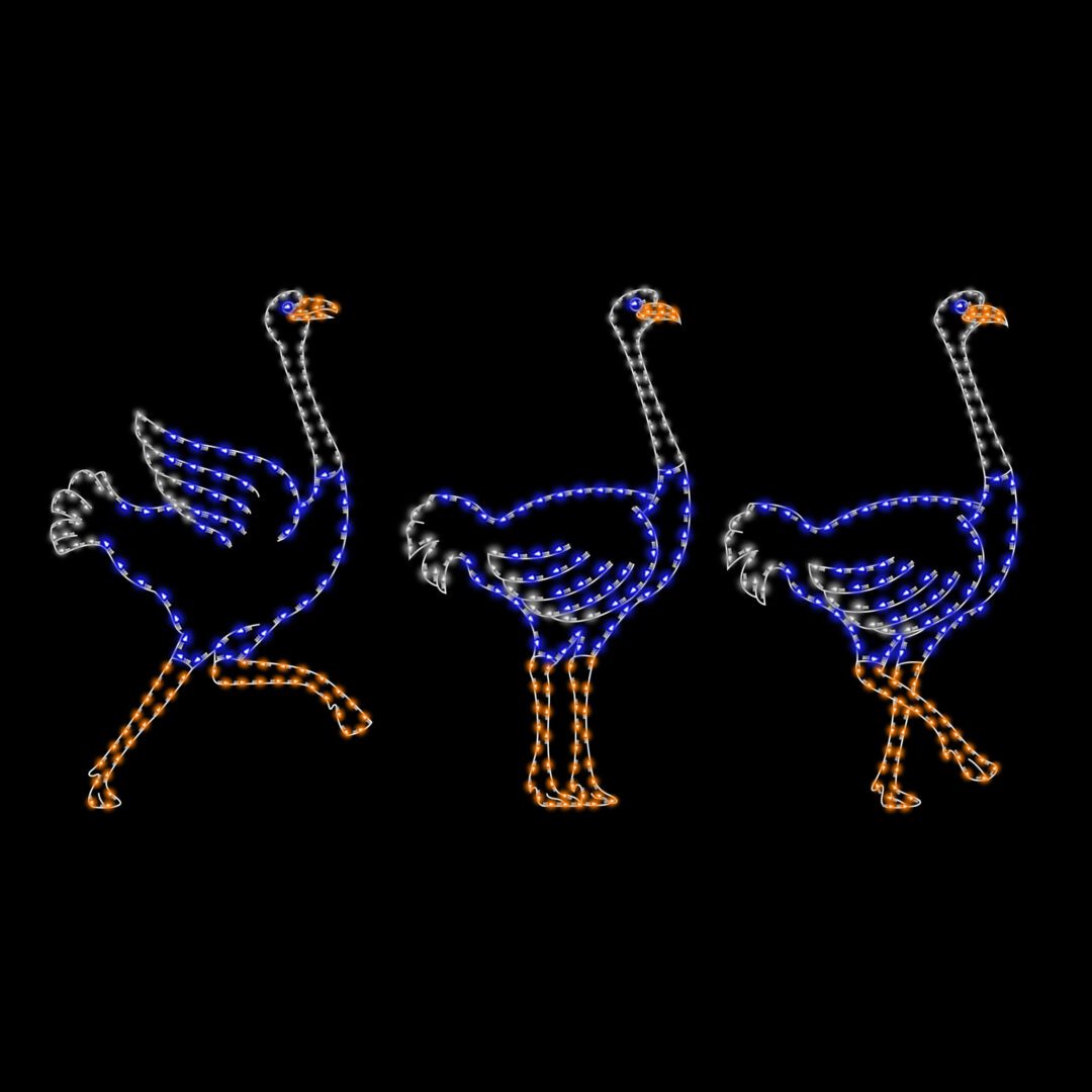 An animated Christmas light silhouette of a blue ostrich running.