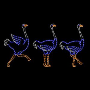 An animated Christmas light silhouette of a blue ostrich running.